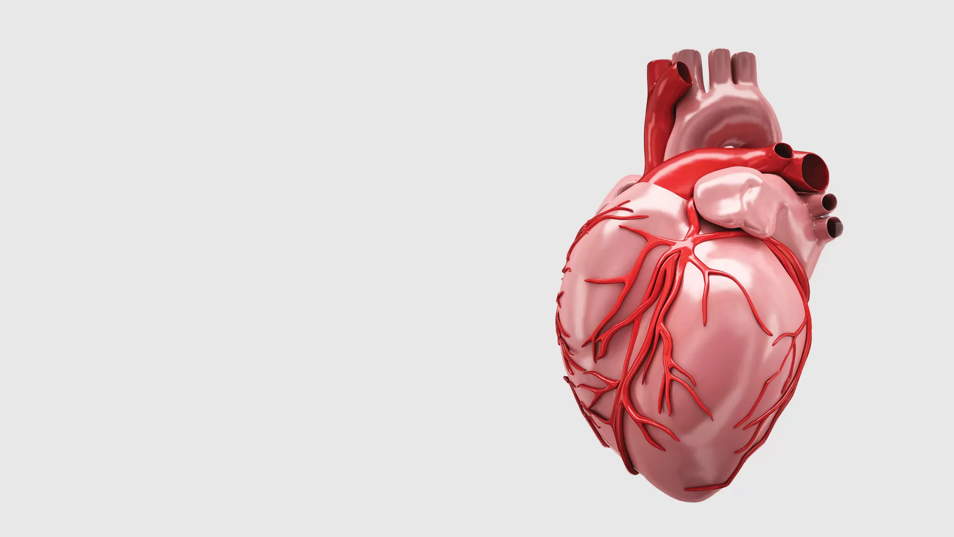 How Cardiologists Can Help Manage Arrhythmias and Other Heart Rhythm Disorders