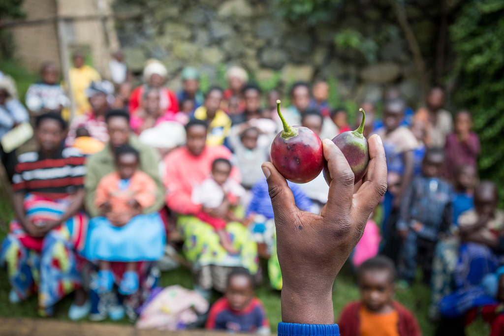 Promoting Family Health Through Nutrition Education