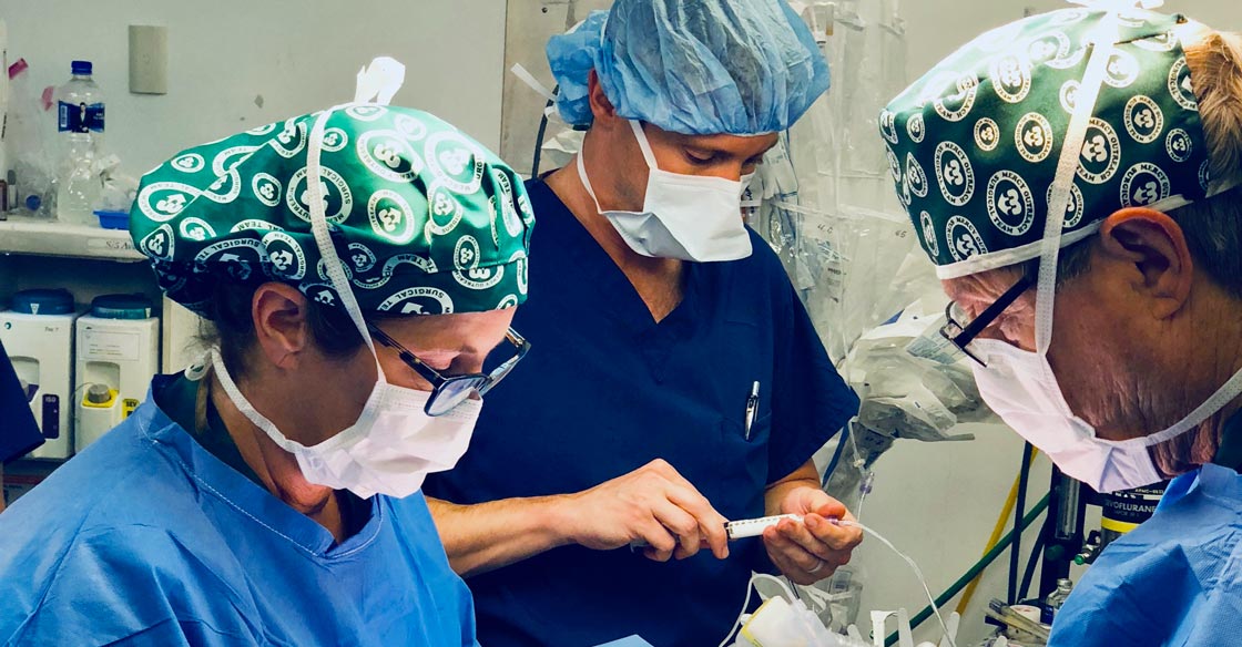Key Skills and Qualifications of General Surgeons